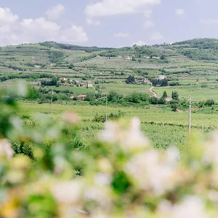 Inn Bacco D'oro Wine & Relais 4*